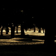 Chenlochi-1061872