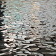 Caroleluciole-1079296