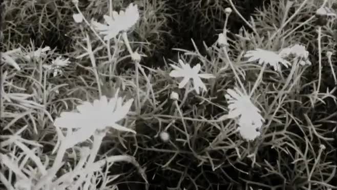 Frame_0000
