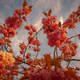Maxsylvesterhall-1242419