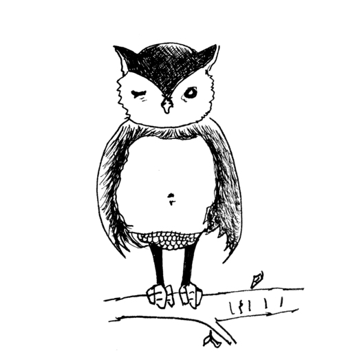 Mrs_hibou