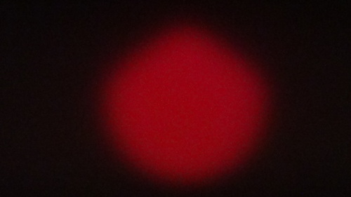 Tetrafish-1360954