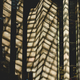 Pixel-pete-1390985