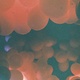 Irinae-1392103
