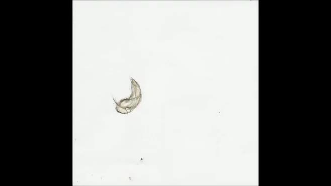 Frame_0000