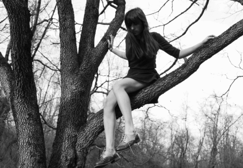 Haley-aronow-1511725