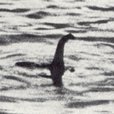 Lochnessmonster