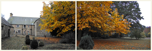 Autumn2_8598