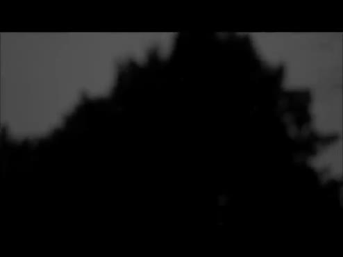 Frame_0000