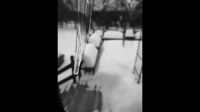 Frame_0000