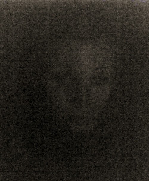 Annascott-1638472