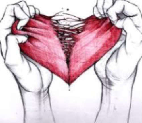 Borkenheart