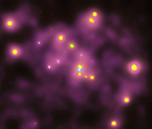 Tiny-andromeda-l