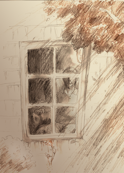 Window2