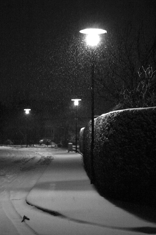 White_night_by_fraeulein