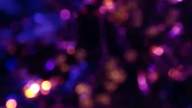 Frame_0000