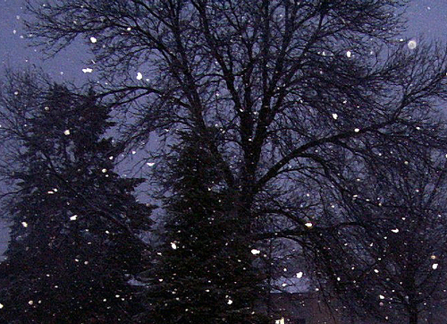 Snow_2006_003