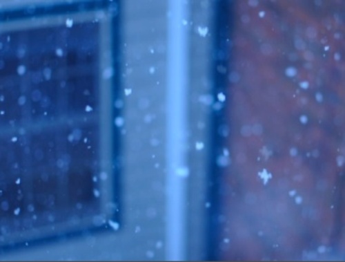 Snowicon