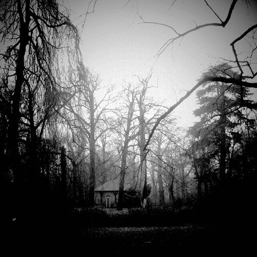 House_behind_trees