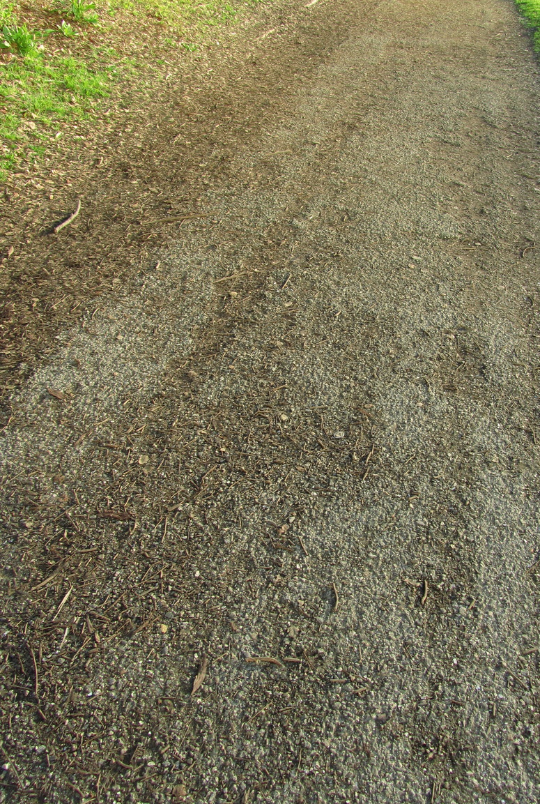 Worn_asphalt_path