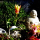 Small_blessings