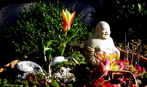 Small_blessings