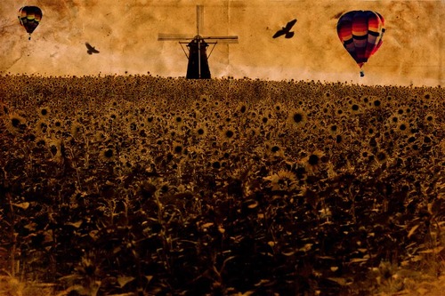 Field_of_dreams