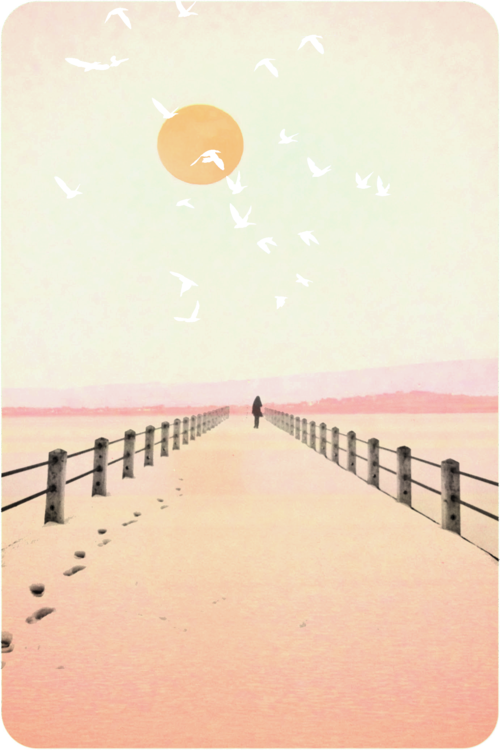 Dontlookback