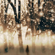 Wanderer_icon