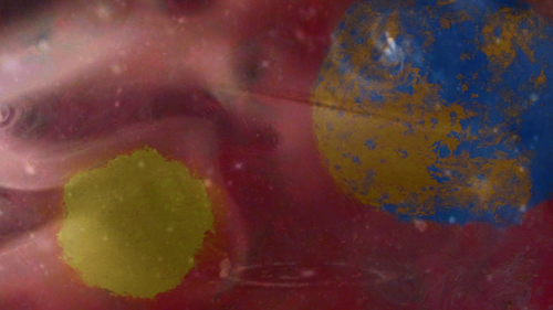 Cover_universe