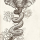 Elephant_slide