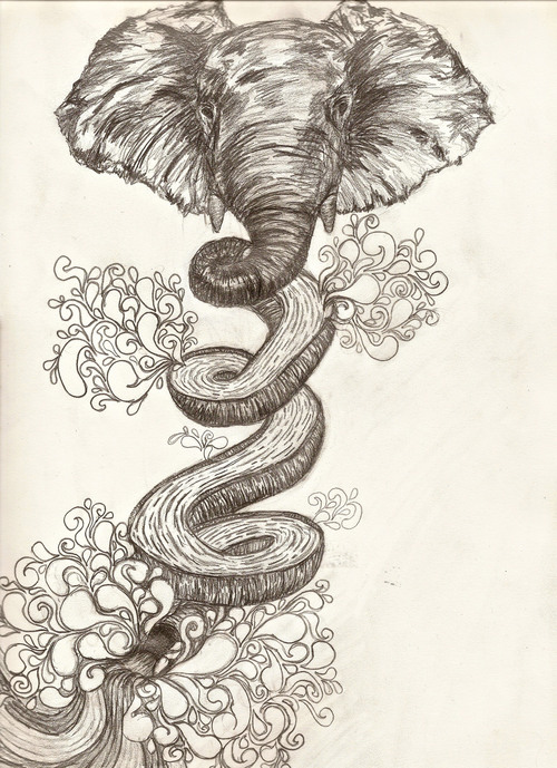 Elephant_slide