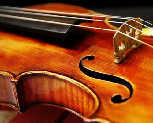 Violin