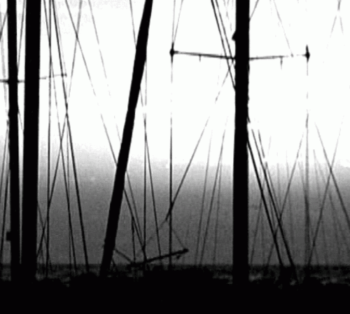 Vlcsnap-1427829