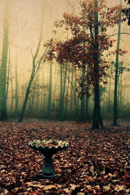 Fall