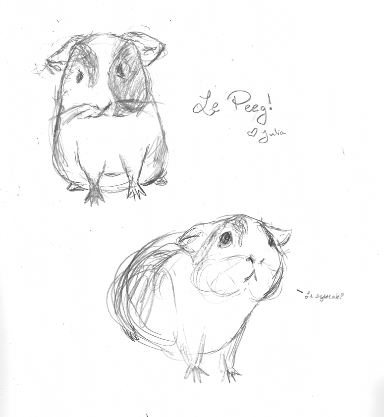Peeg