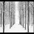 Winterfell
