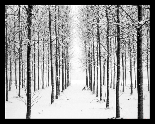 Winterfell