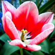 April