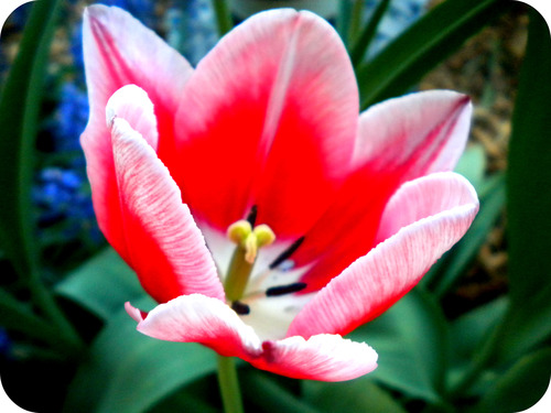 April
