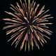 220px-spider-firework-omiya-japan