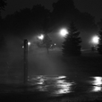 Midnight_sprinkler_mist