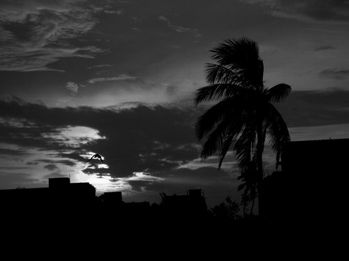 Bwsummer