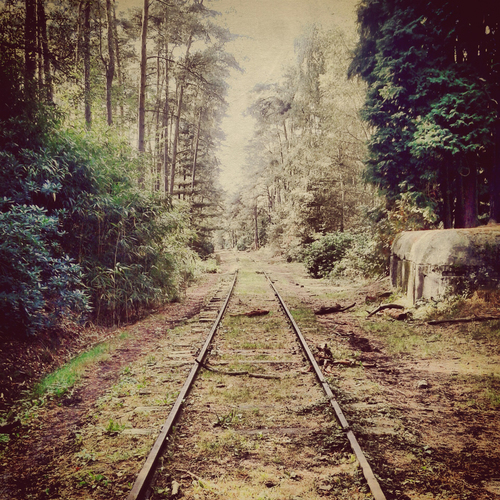Belcath1981-992985