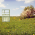 Window_in_a_field