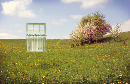 Window_in_a_field