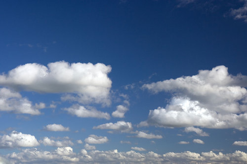 Daydreamer_pic